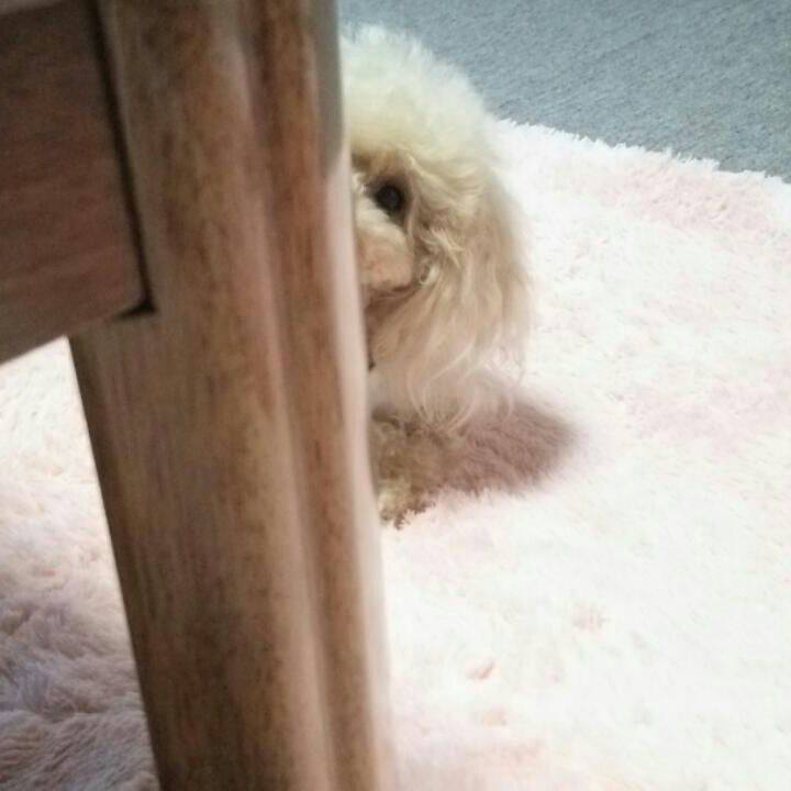 94a2a1e9 cbc2 45d1 a33f a31c4a20425d 1539346601921