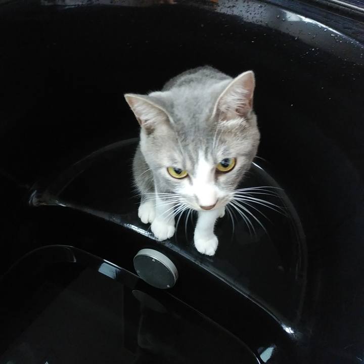 94a2df59 bc75 4a71 b168 7c865419fdda 1595459459512