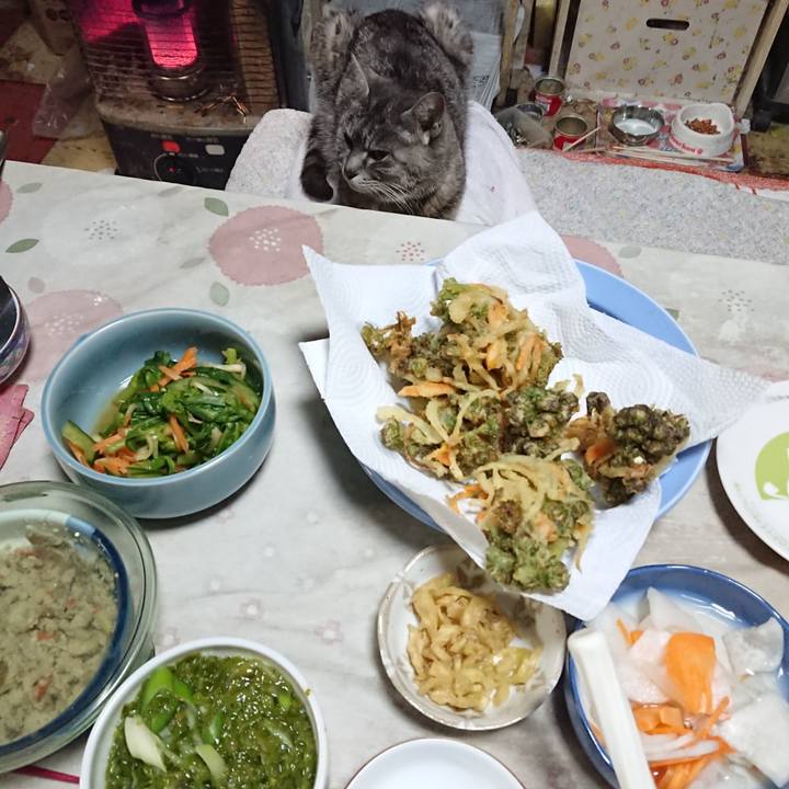 94a2eb62 49cb 43e3 b5d8 960195a503cb 1585394280880