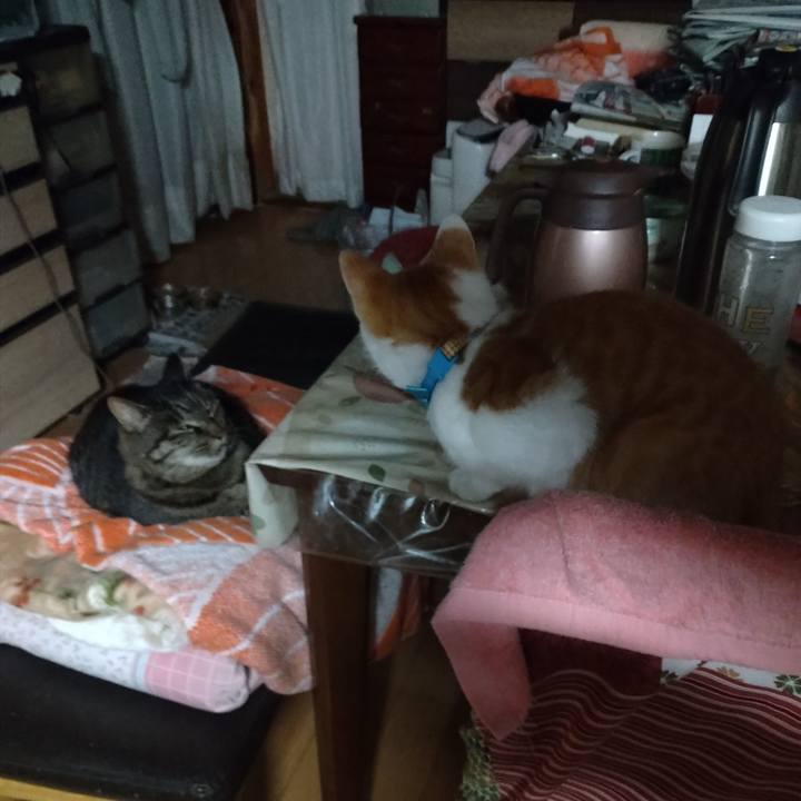 94a2f2a0 37f1 4449 86da 36faf4ee8532 1733090901676