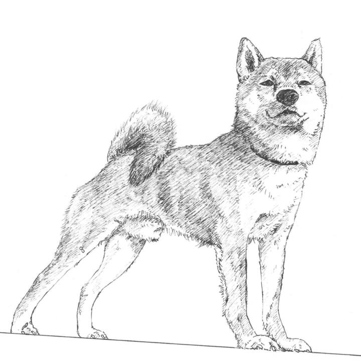 94a31bfd 6ff5 4696 b637 7c47957f87d0 1579703730160