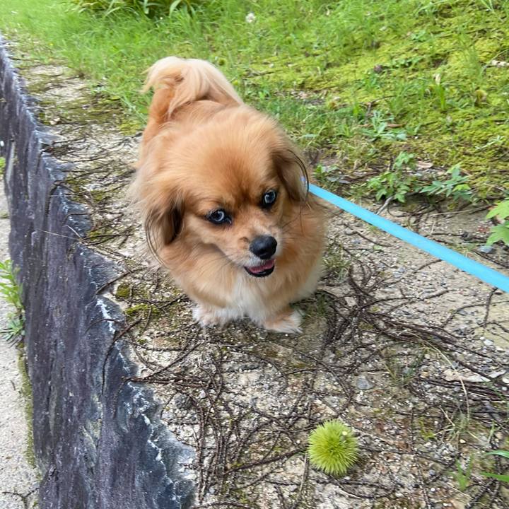 94a3488a 0d85 4cb5 858b a5be3b0b7128 1596144483589