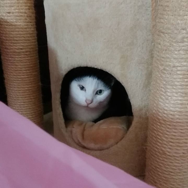 94a34d3a 922e 498b a96e 29c52517d05f 1508639392944