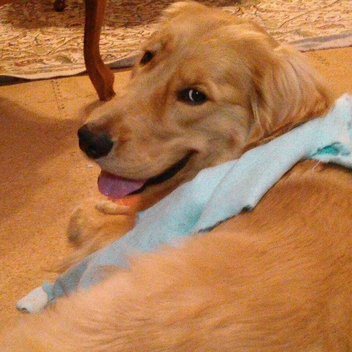 94a359b7 4c2a 4af4 b2a6 d7a9bfbc8489 1523809654008