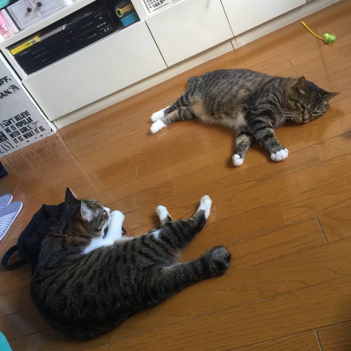 94a360a0 8403 445c 9d22 adb8cfbbad53 1564121452301