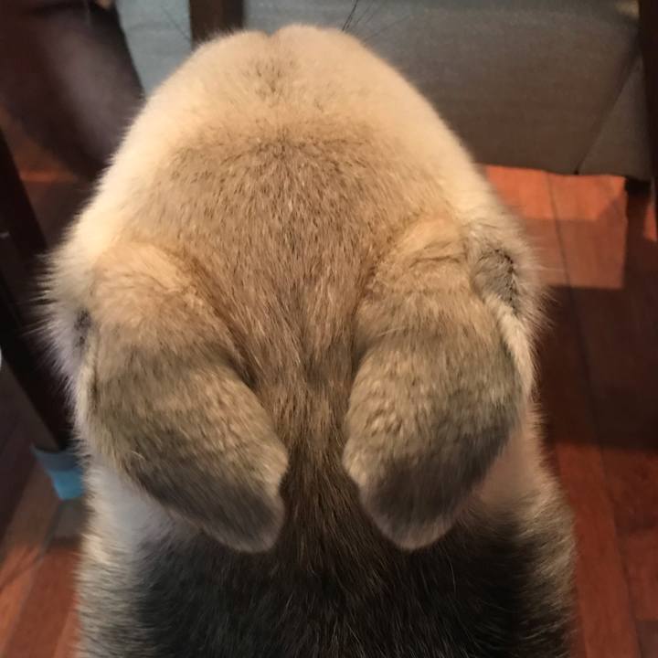 94a36f37 d236 4246 b930 24fb07fb47b9 1568115445044