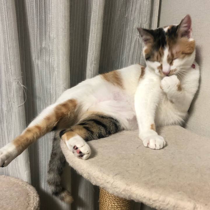 94a38fc0 fc7f 4bd5 8698 c6e63df03570 1580655553950