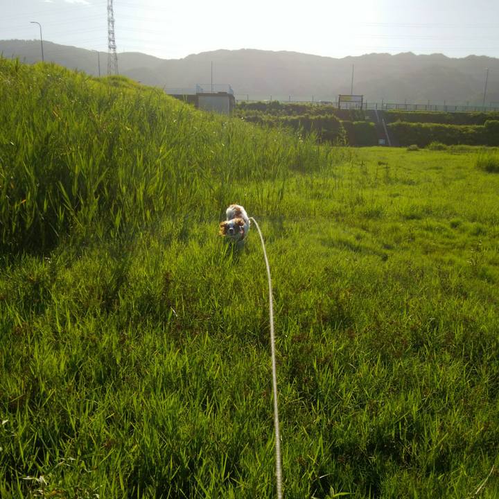 94a3a3a9 b7c1 422d 9216 116401d23221 1534508814917