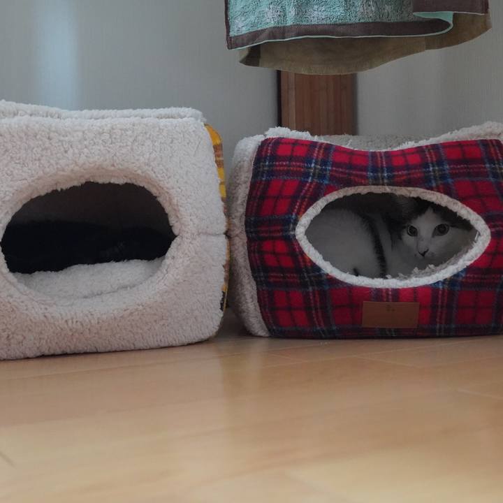 94a3a4f2 d150 4d6b 95e3 567aae4004c7 1600818187894