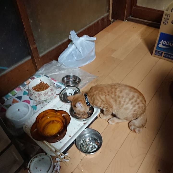 94a3aece 3f5f 4d14 9404 d2bcacfb889c 1634723777852