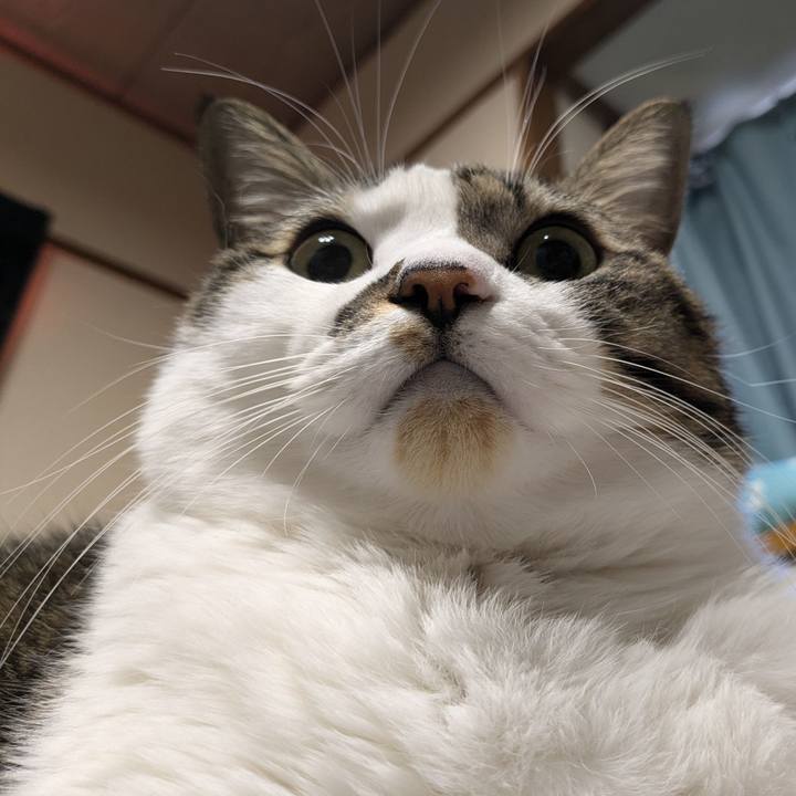 94a3b108 4b53 4e8a add7 ba8d7d74db34 1735944925420