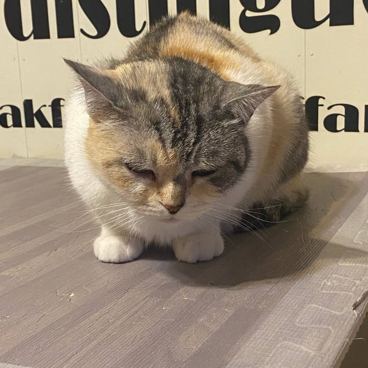 94a3d5a5 873c 472c aa45 614d525dae0c 1620129945190