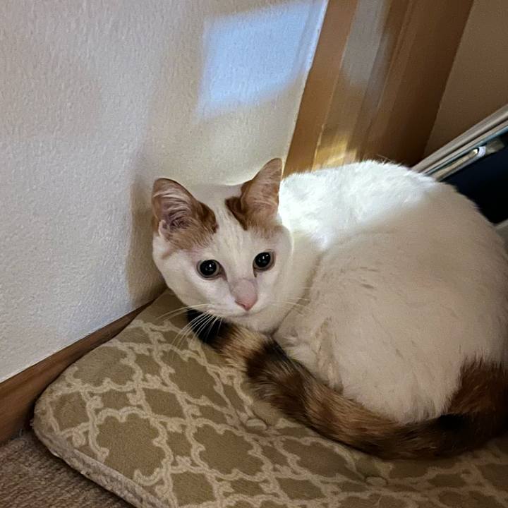 94a3e8aa 3c3c 4c8b 9fdb 52b542504c33 1768859975628