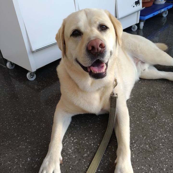 94a3fc6f 7321 4c88 b051 c36883375674 1621767054581