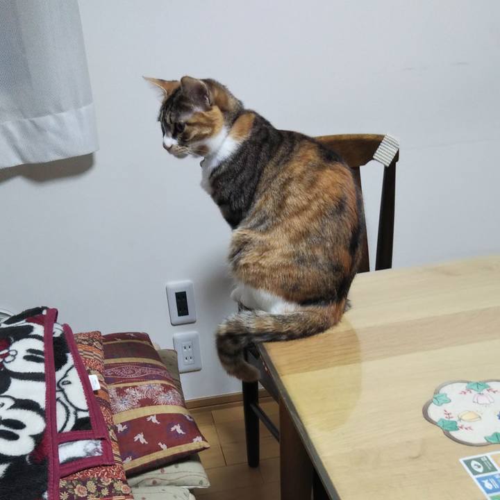 94a41502 8f98 4303 82ad d2761d96589b 1645312418984