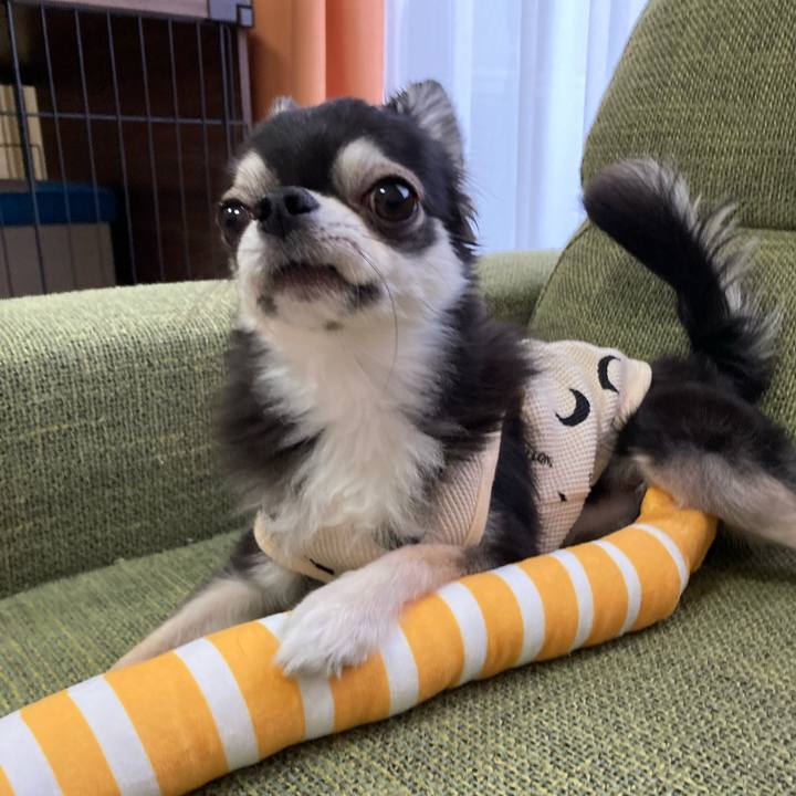 94a42463 c079 4e11 ad97 ed03f73bd2ba 1684077358662