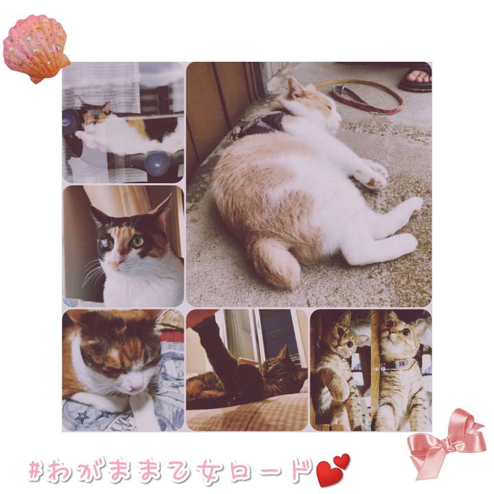 94a42522 9b74 4677 96f7 abe362ab7708 1568634693583