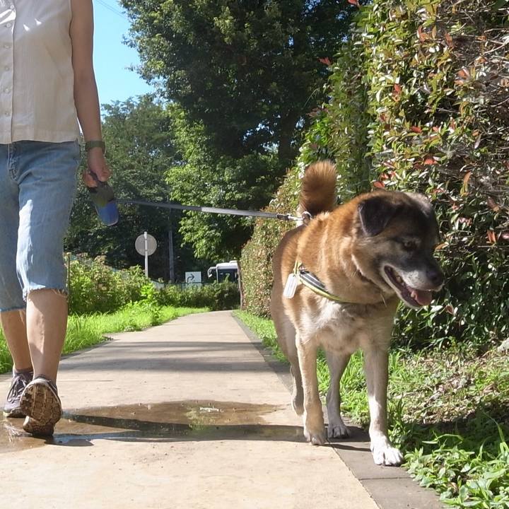 94a42ee1 8269 4a61 bbbe 4c424b831145 1587861109150