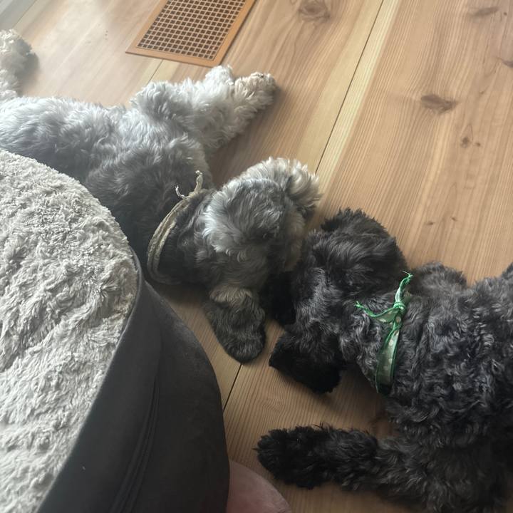 94a43419 00f2 4db2 9d63 73c8c06a08ee 1721705042946