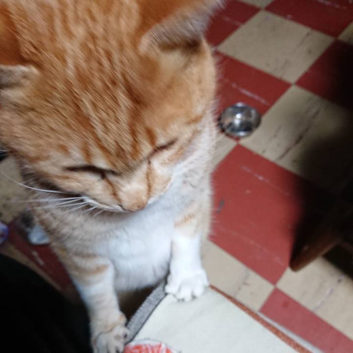 94a4b433 d71d 4b77 80d1 ac7ce3af84b4 1577997610217