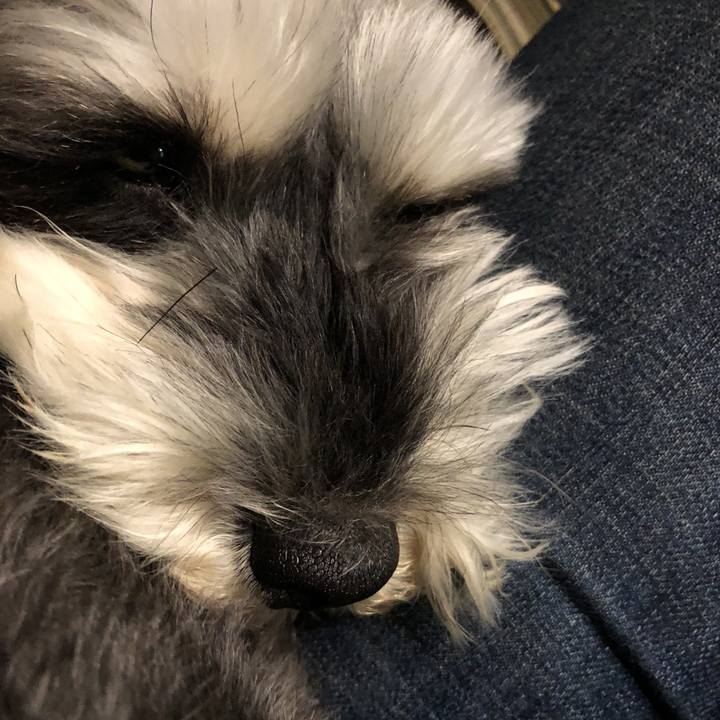 94a4db1f 1f00 4fc3 97ec 6851f1c0be45 1523620370586