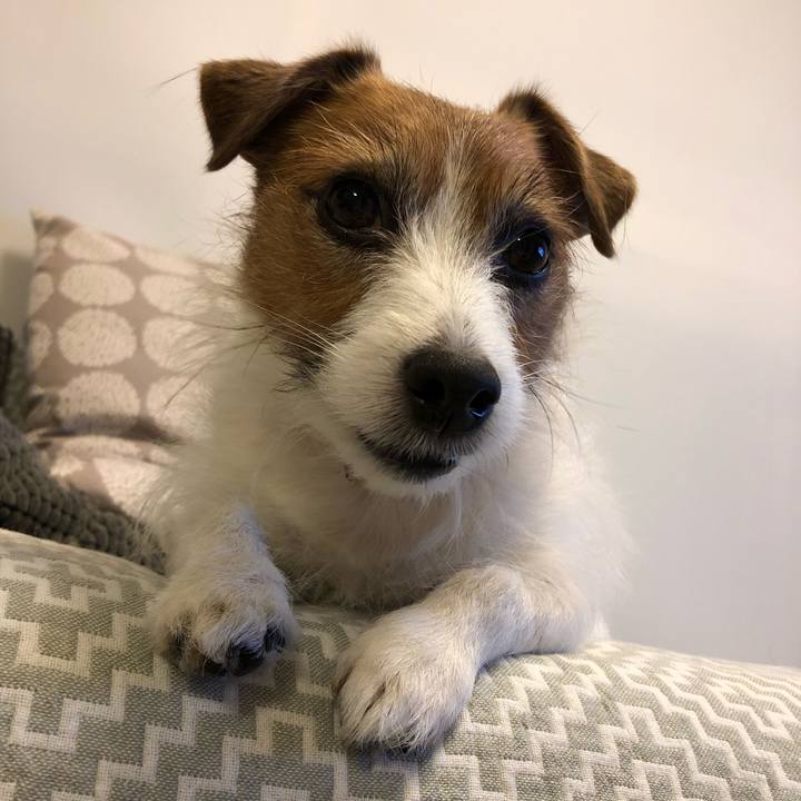 94a510ef 05b5 440e 844e f8a1b6524c6e 1611672730891