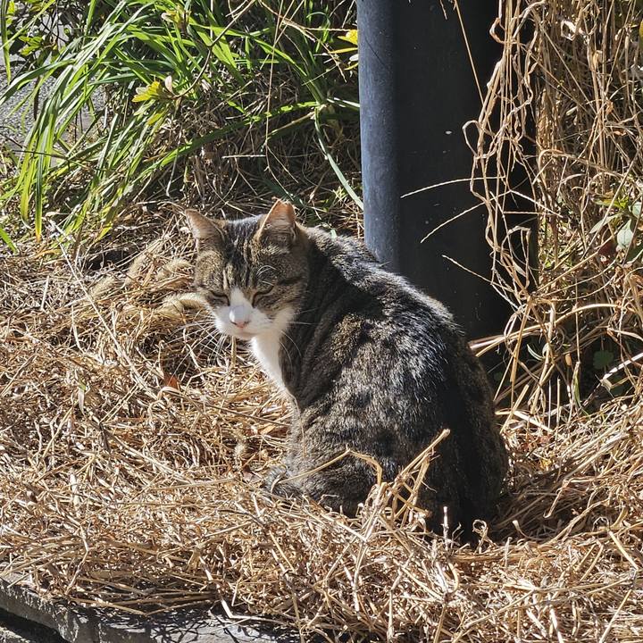 94a51307 bc93 4563 81d9 474351cbe9ef 1738998867351