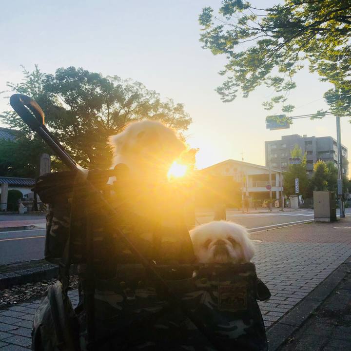 94a51872 dda1 4e80 8a17 d23556ae4f63 1596233015462