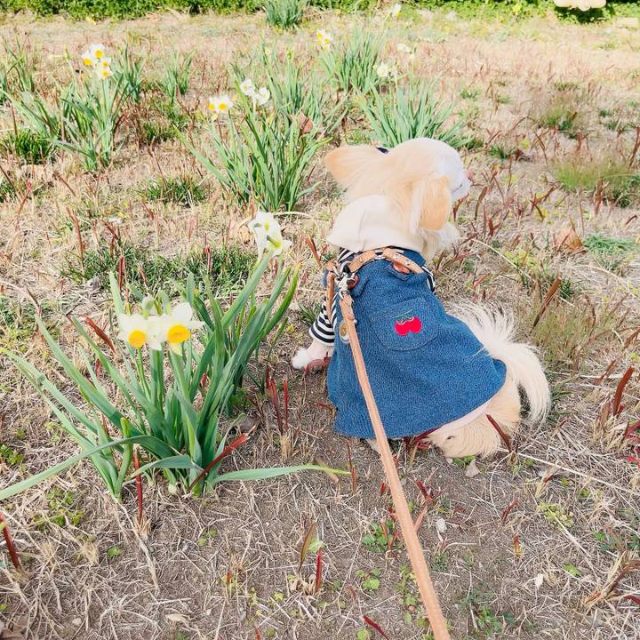 94a52c1a eaa9 4ace b2c8 9faa9b3b3006 1705644072888