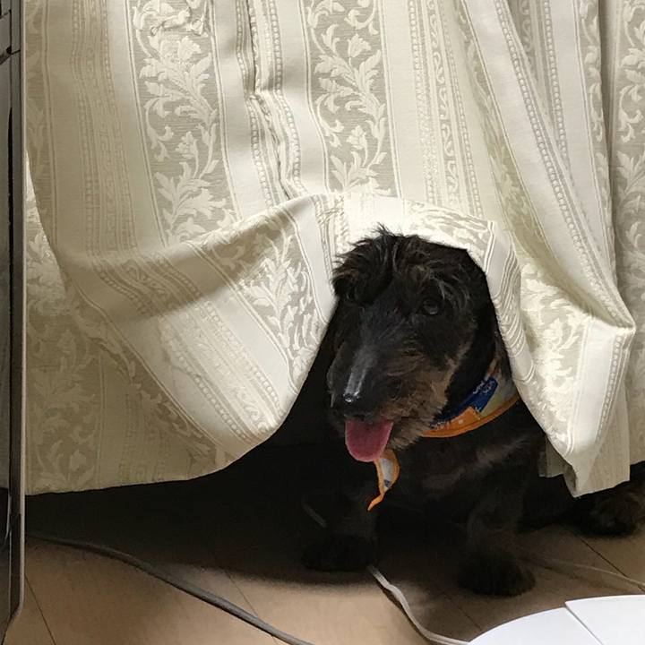 94a534df 51e3 4043 8090 db6eca4fa85a 1535888042869