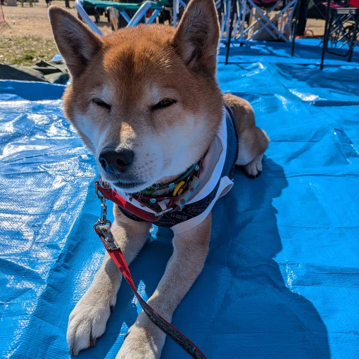 94a55794 f244 480f 9d7a 88ea314eb97b 1741589240849