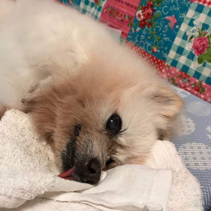 94a55dac 8ffc 468e 9abc 3422e69b5401 1535994076192