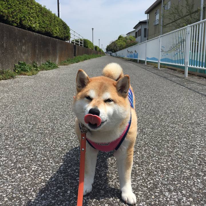 94a58399 e396 4b9f a118 abb62cea238f 1555646039363