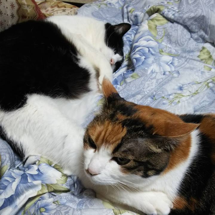 94a5d374 e776 474c 9ca4 445ad6a75ace 1549621356758