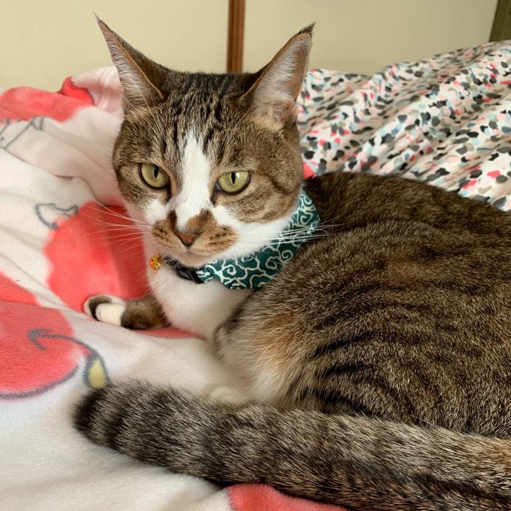 94a5e484 a589 43a4 9cdc 3e1195b24460 1572321688697