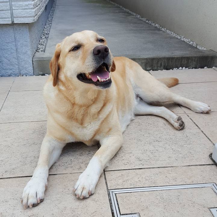 94a608f0 8677 4e85 9710 1e0dc1dbd6c8 1531105173767