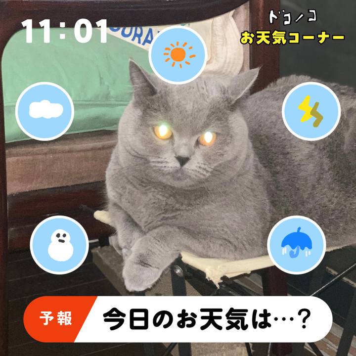 94a616dc 9dcf 4795 892c 30872cda5770 1781727242884