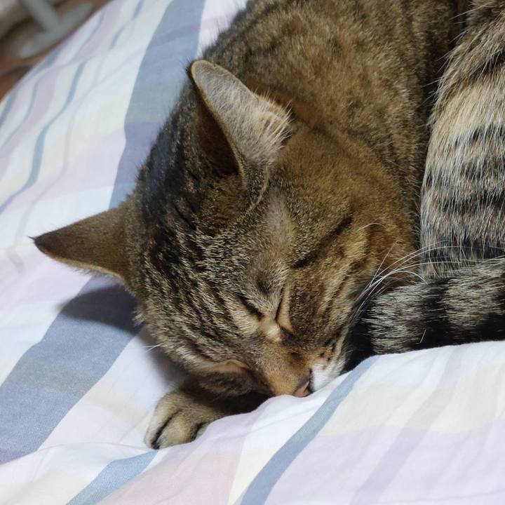 94a625ab 62f5 4f73 bd51 5bb19664184a 1673001527561