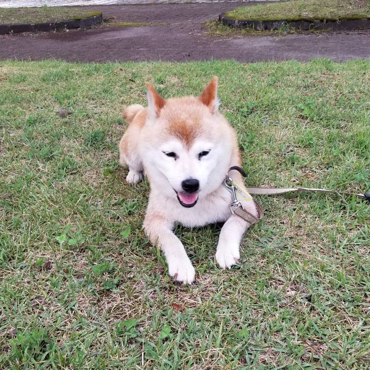 94a6294b 15ec 4cba 9a53 61b38344396e 1658825527013