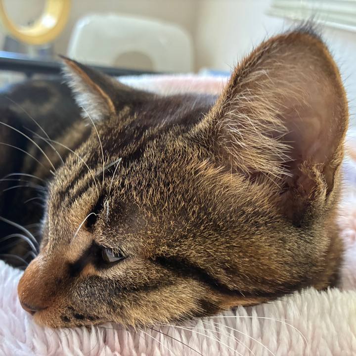 94a645c8 d451 4b18 9602 e3bcb6e66d47 1771042091234