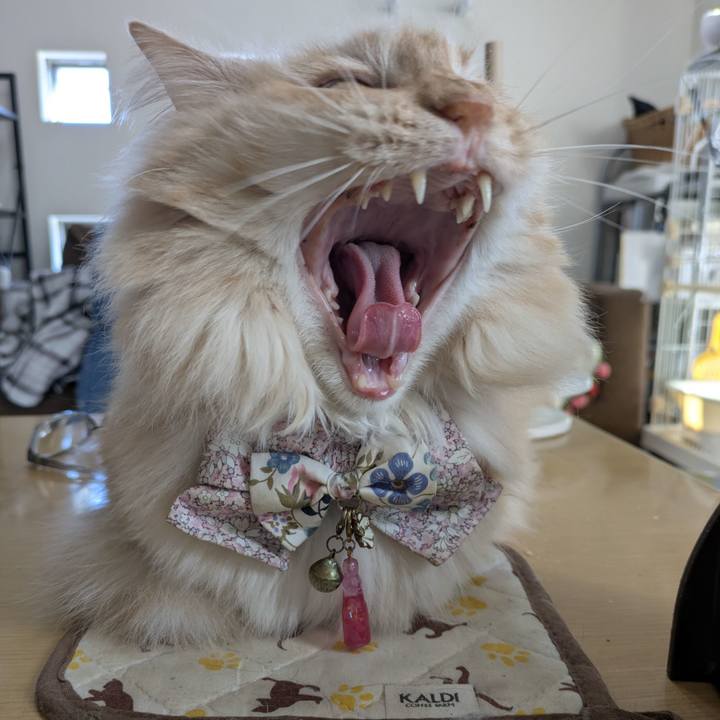 94a6774c 6577 408d 99fe 518cd822f826 1767063091100