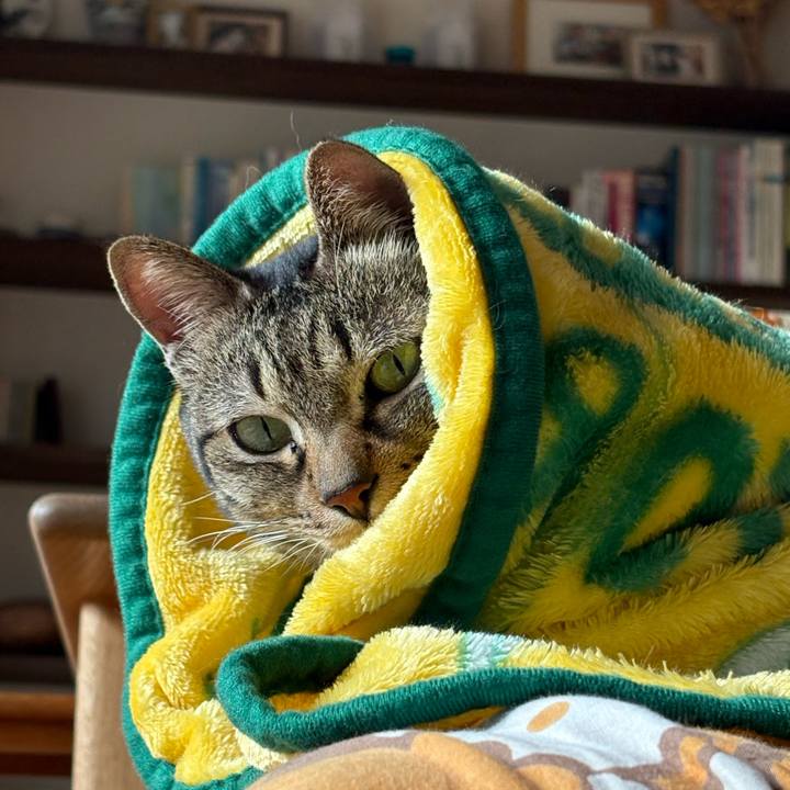 94a68773 12b0 4bc3 8478 d3553ed81417 1769308404597