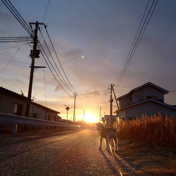 94a6e033 1778 42d1 998c e9d2d7db3051 1769037886358