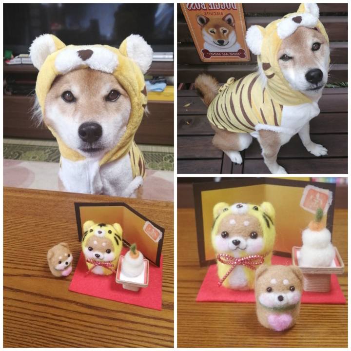 94a70153 2c07 49ac 86d7 48f89696a353 1639720223926