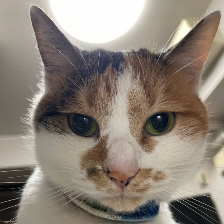 94a70f22 a955 45da 8bde 6317b82fdf1f 1702564438884