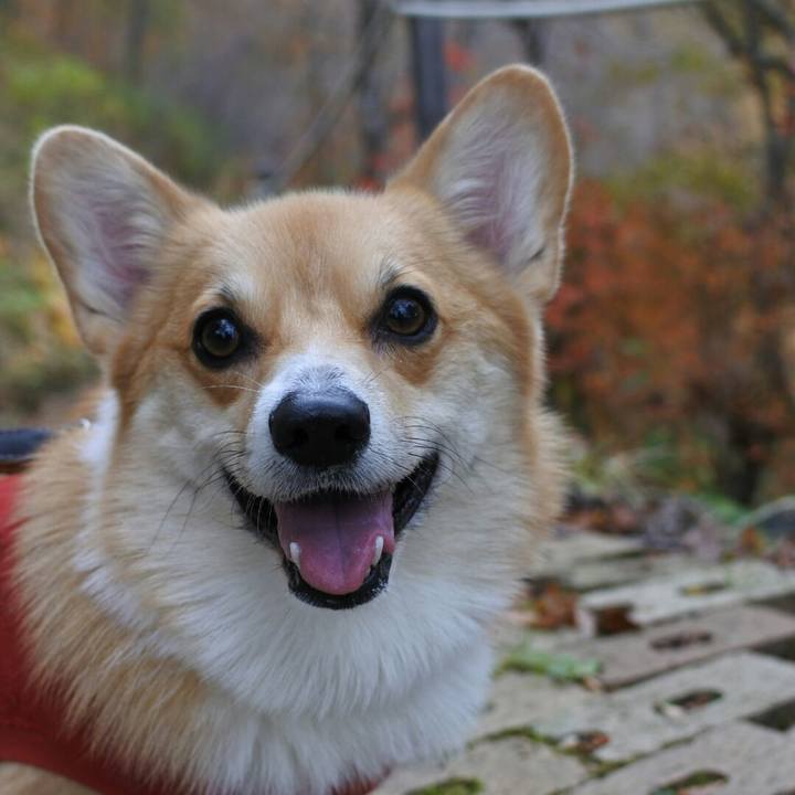 94a72bc7 e036 4e2b 95a7 08bd22d00966 1509852661386