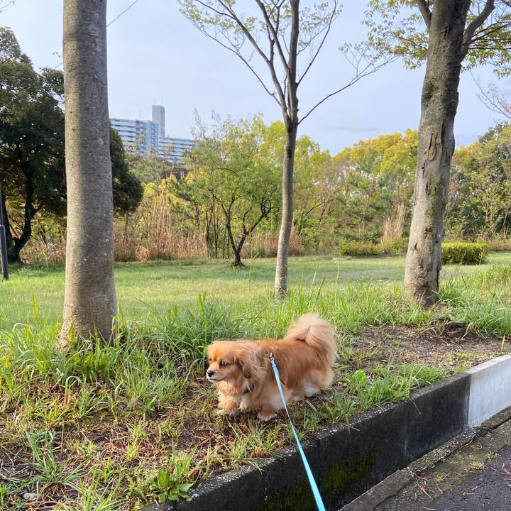 94a7544e 2a3d 4ca3 809f db1ffcc48038 1587423959064