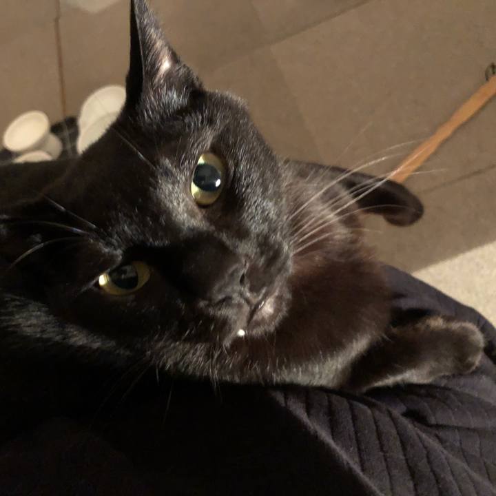 94a783fb fb9a 40fc abeb 8023a9ad5b80 1686138494772