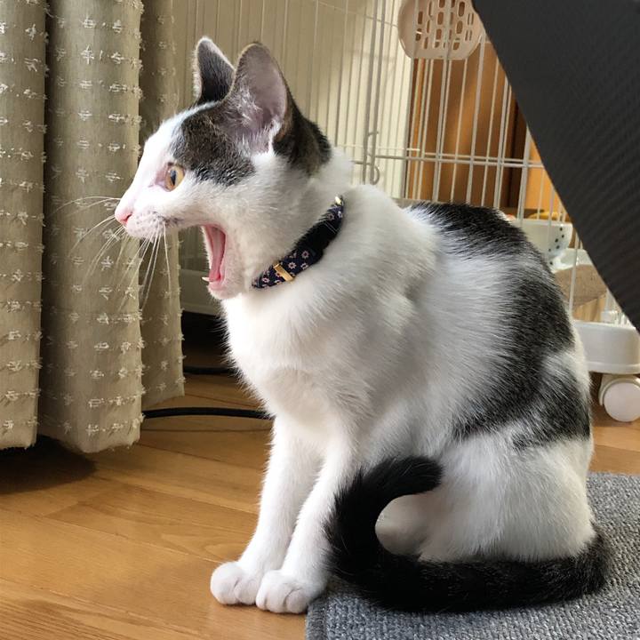 94a78620 8709 4732 94d0 1cd50c7f4145 1575964688433