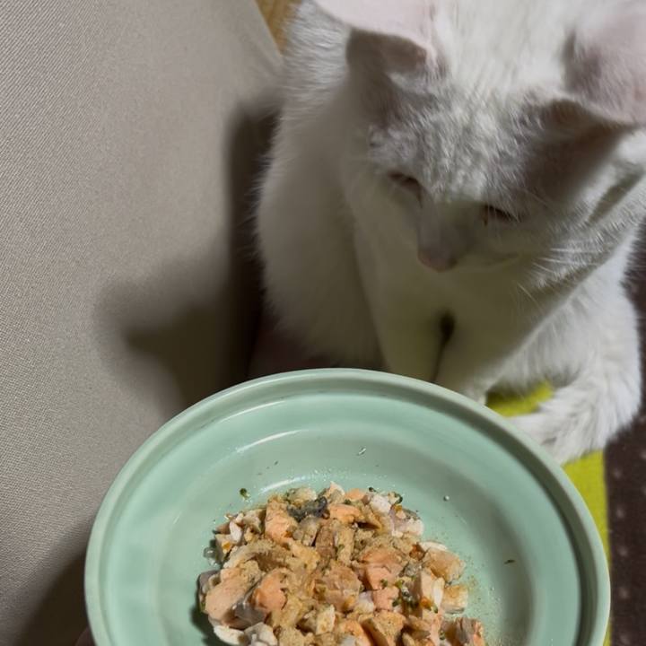 94a79b26 5ddc 45d4 b2a5 fcc622d9e324 1763989582933